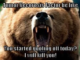 Angry grizzly bear meme, "Tumor Necrosis Factor be like You started goofing off today? I will kill you!" This happens in your sleep.